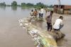 Uttar Pradesh Floods Hit 26 Districts, 3.53 Lakh Affected as Rescue Efforts Intensify