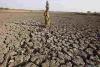 Maharashtra Faces Severe Drought Threat as Marathwada Records Major Rainfall Deficit