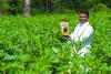 Vardaan Offers Farmers an Organic Approach to Phosphate Nutrition Ahead of Rabi Season