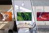 Sony India Launches 16 New BRAVIA Professional Displays With AI-Powered XR Technology