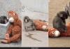 Viral Bond Between Orphaned Macaque and IKEA Plushie Sparks Global Demand and Resale Surge