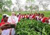 Modi Visits Dibrugarh Tea Garden, Calls Tea the “Soul of Assam” Ahead of Key Election Rallies