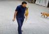 Stray Dog Bites School Security Guard in Mumbai’s Goregaon Amid Rising Safety Concerns
