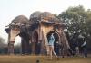Supreme Court Orders Partial Sealing of Delhi Golf Club Amid Heritage Protection and Land Use Controversy