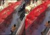 Blood from Bakrid Slaughter Spills into Hyderabad Streets, Triggers Outrage Over Sanitation Breach