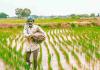 Weak Monsoon Triggers Sharp Decline in Kharif Crop Sowing Across India, Government Data Shows