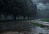 Heavy Rain Batters Several States as Monsoon Intensifies; Alerts Issued in Uttarakhand, Delhi Receives Long-Awaited Showers