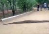 Massive Python Stuns Visitors After Crossing Walking Path at Hyderabad’s KBR National Park