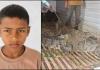 Crocodile Drags 12-Year-Old Boy Into Ghaghra River After Farm Work in Bahraich, Remains Recovered