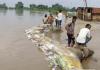 Uttar Pradesh Floods Hit 26 Districts, 3.53 Lakh Affected as Rescue Efforts Intensify