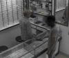Thief Poses as Customer, Steals Phone from Ghaziabad Optical Shop