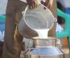 Milk Prices to Rise in Tamil Nadu and Mumbai as Dairy Costs Surge