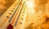 Deadly 2023 heatwave to become the norm in coming years: Study