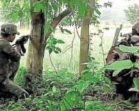 80 Naxals Killed, 125 Arrested, 150 Surrendered In Chhattisgarh In Last 4 Months