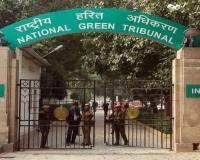 Yamuna Pollution: NGT Imposes Rs 65 Crore Environment Compensation On Two UP Civic Bodies