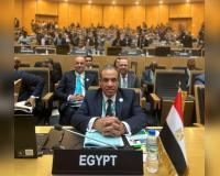Countries ignored our warning about Muslim Brotherhood, played with fire: Egyptian FM Abdelatty