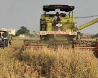 Haryana: Govt subsidy on agri equipments contained stubble burning to great deal, say farmers