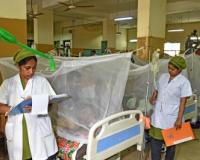 Dengue claims six more lives in Bangladesh, 2025 death toll rises to 349