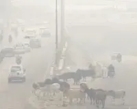 Delhi's visibility drops below 200 meters amid severe pollution, GRAP 3 restrictions likely soon