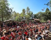 Nagaland : 'Hornbill Festival' Day 5 showcases rich traditions of 18 Naga communities
