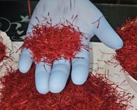 J&K residents joyous, hopeful of high demand after PM Modi gifts Kashmiri saffron to Putin