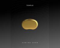 Deepinder Goyal unveils teaser of ‘Temple’, a brain-flow device