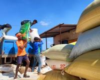 New labour codes strengthen rights of contract workers