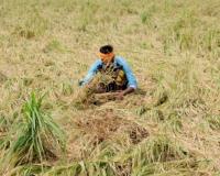 India has added 2,361 MW biomass capacity in last 10 years: Minister