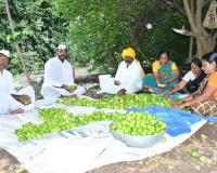 Indi Lime export to Oman showcases early gains of CEPA: Govt