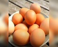 Eggs safe for consumption; cancer risk claims misleading, not scientific, says FSSAI