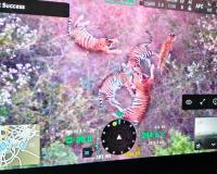 Five tigers spotted in Karnataka's Chamarajanagar, prohibitory orders imposed in 3 villages