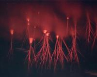 Rare Dual Lightning Phenomenon Captured Over Italy in Once-in-a-Decade Atmospheric Event