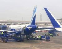 IndiGo CEO admits service lapses, says restoring punctuality 'not an easy target'