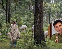 Forest for the Few? Congress Leader Accuses Governments of Handing Over Woodlands to Corporate Interests
