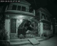 Bear Breaks Into Home in Chamba; CCTV Footage Sparks Safety Concerns Across Region