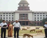 Delhi Education Order Sparks Political Row as Teachers Asked to Count Stray Dogs