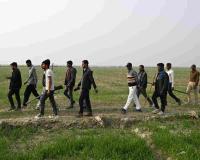 Fear After Sundown: Wolf Attacks Claim 11 Lives, Mostly Children, in Uttar Pradesh’s Bahraich