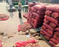 Onion Farmers Dump Produce on Roads in Madhya Pradesh as Prices Crash to ₹1 per Kilo