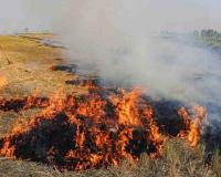 Fierce Blaze Engulfs Paddy Stacks in Hapur Village, Fire Crew Brings Situation Under Control