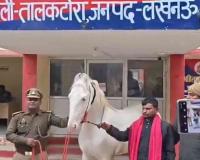 Stolen Iranian-Breed Horse Recovered in Uttar Pradesh, Suspect Arrested After Inter-District Operation