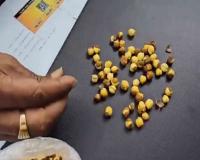 Toxic Dye Used to Color Roasted Chickpeas: Police Seize 30 Tonnes in Gorakhpur