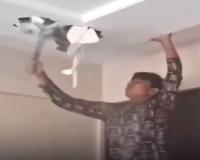 Unpaid for His Labor, Worker’s Desperate Protest Sparks Outrage Across Social Media