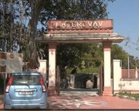 In Gujarat’s Vadnagar, a special plantation drive to increase green cover