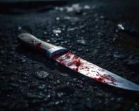 Horrific 'Drum Murder' Shakes Jalandhar: Forensic Probe Reveals Sedatives Used Before Brutal Dismemberment