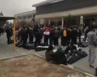 Iran at a Breaking Point: Bloody Crackdown and Digital Silence as Death Toll Surpasses 500