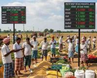 Karnataka Farm Gates See Mixed Returns as Market Prices Jostle with New MSP Benchmarks