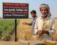 Market Disparity: West Bengal Farmers Grapple with Pricing Gaps as Wheat Surges and Oilseeds Falter