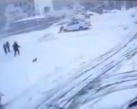 Miraculous Escape in Manali as Tourist Vehicle Plunges into Gorge Amid Heavy Snowfall