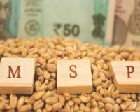 Premium Over Protection: Mumbai Markets Witness Significant Surge in Commodity Prices Above MSP