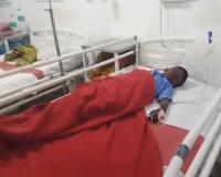 Rogue Elephant Rampage Leaves Six Dead in Jharkhand’s West Singhbhum District